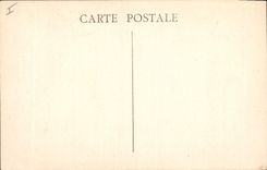 Vintage Postcard Tree the Holy Balsam the large oak