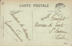 Vintage Postcard Tree Montigny Leloup Memory of a walk to the cedar