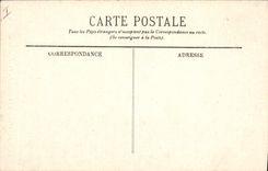 Vintage Postcard Tree Sanatorium of Holy Feyre Chestnuts