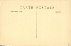 Vintage Postcard Tree Drill of the co. Balsam the large oak