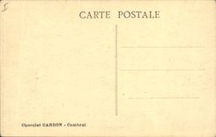 Vintage Postcard Chrea Tree the camel of the Bresson public garden