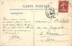 Vintage Postcard Tree Fir tree of Criquette