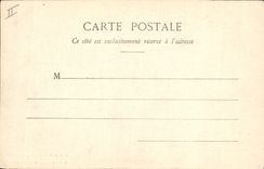 Vintage Postcard Arbre Splits St Raphael Pin giant