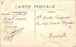 Vintage Postcard Tree Juan the pines Umbrella pine