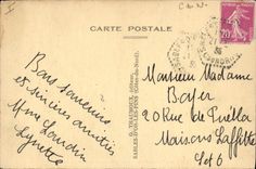 Vintage Postcard Tree Sands of Gold Pines In the valley of the Nymphs the twisted tree