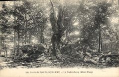 Vintage Postcard Tree Drill of Fontainebleau Gutemberg Ussy Mount