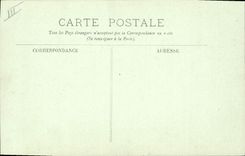 Vintage Postcard Hyeres Aloe in flowers