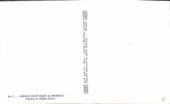 Exotic Vintage Postcard Garden of Monaco Cereus and various Aloes