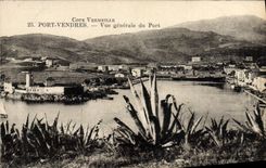 Vintage Postcard Vendres Port Seen general of the port Cactus Boat