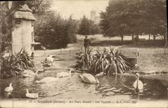 Vintage Postcard Valence With the park jouvet swans