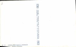 Exotic Vintage Postcard Garden of Monaco Cereus Gladiatus