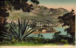 Vintage Postcard Monaco Seen taken of Monaco Cactus