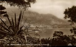 Vintage Postcard Monaco Seen taken of the gardens of the Rock Cactus