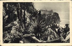 Vintage Postcard Monte Carlo exotic gardens and the rock of Monaco