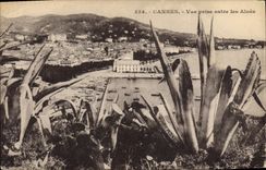 Vintage Postcard Cannes Seen taken between the Aloes Cactus