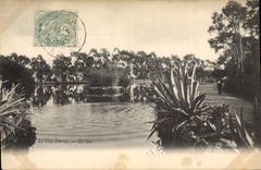Vintage Postcard the Cape Ferrat the lake