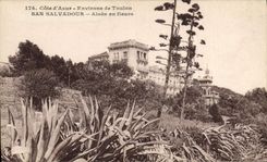 Vintage Postcard San Salvadour Aloe in flowers Surroundings of Toulon