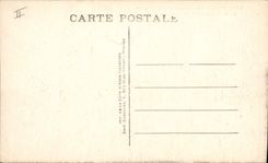 Vintage Postcard San Salvadour Aloe in flowers Surroundings of Toulon