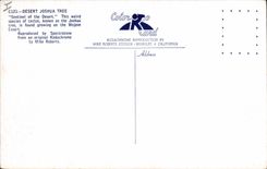 Modern Postcard Desert Joshua Tree Sentinel of the deserted