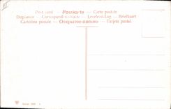 CPA Corrida Course de taureaux Un recorte capote al brazo 