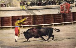 CPA Corrida Course de taureaux Une bonne paire de banderilles au cuarto 