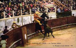CPA Corrida Course de taureaux La taureau enleve 