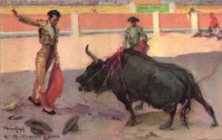 CPA Corrida Course de taureaux Ovacion y oreja 