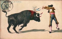 Vintage Postcard Bullfight Bullfight Fuego
