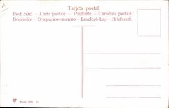 CPA Corrida Course de taureaux Senalando la estocada 