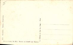 Vintage Postcard Arbre Peira Undermined Road and drill of Turuni