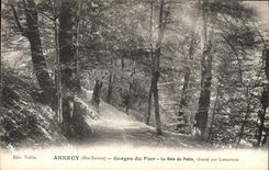 Vintage Postcard Tree Annecy Throats of Trusting the wood of the poet sings by Lamartine