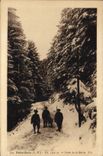 Vintage Postcard Arbre Peira Undermined Drill of Mairis Militaria Alpine hunters