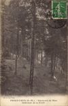 Vintage Postcard Arbre Peira Undermined Surroundings of Nice Interieur of the drill