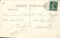 Vintage Postcard Tree Drill of Holy the Balsam Large Draio