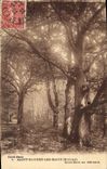 Vintage Postcard Holy Arbre Honours the Baths Under wood with defends