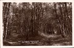 Vintage Postcard Tree Touquet Paris Beach Its charm Its drill
