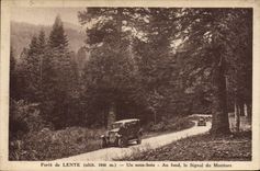 Vintage Postcard Tree Drill of Slow under wood At the bottom the signal of Montuez