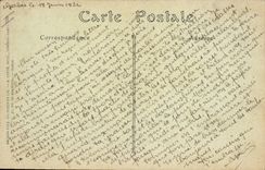 Vintage Postcard Tree Study of olive-trees Donkey Mule