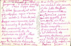 Vintage Postcard Tree Surroundings of Azrou the Gouraud Cedar