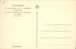 Vintage Postcard Tree Algeria Drill of cedars