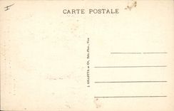 Vintage Postcard Tree Cannes Holy Island Marguerite the large alley of eucalyptus