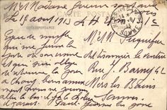 Vintage Postcard Arbre Montigny Lencoup Cedre plants by Bernard de Jussieu in the park of Mr. Trudaine