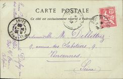 Vintage Postcard Flowers Seas el to kebir aloe Study Donkey mule