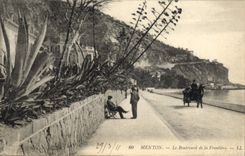 Vintage Postcard Flowers Chin the boulevar of the border Cactus