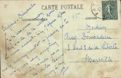 Vintage Postcard Flowers Fatty general Sight seen between Aloes