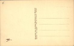 Vintage Postcard Monaco Flowers exotic gardens various Aloes cereus and Opuntia