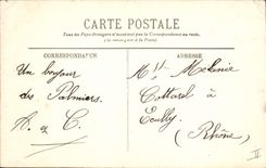 Vintage Postcard Flowers Hyeres Aloe in flowers