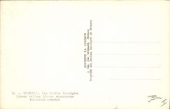 Modern Postcard Flowers the exotic gardens Cereus validus Monstruosus