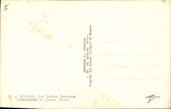 Modern Postcard Monaco Flowers exotic gardens Hedgehog cactus and various Cereus Monaco