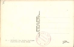 Vintage Postcard Monaco Flowers the exotic gardens various Euphrbes and Cereus